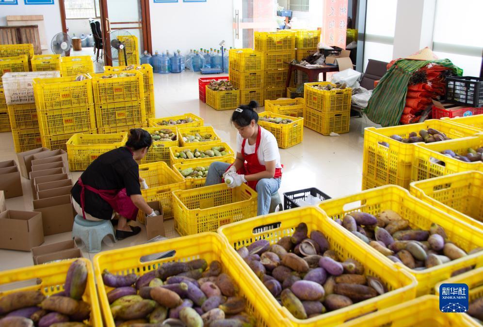 问鼎软件下载